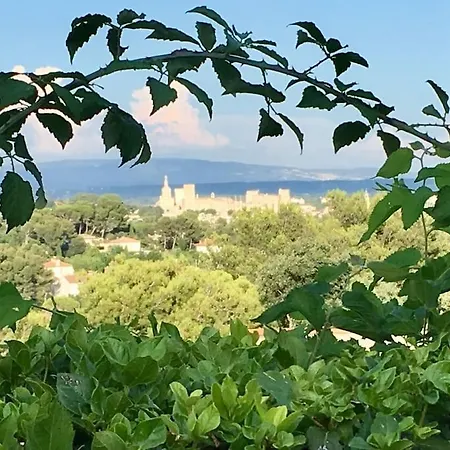 170m2 Sur 1000m2 Avec Piscine, Vue Sur Palais Des Papes Et Luberon